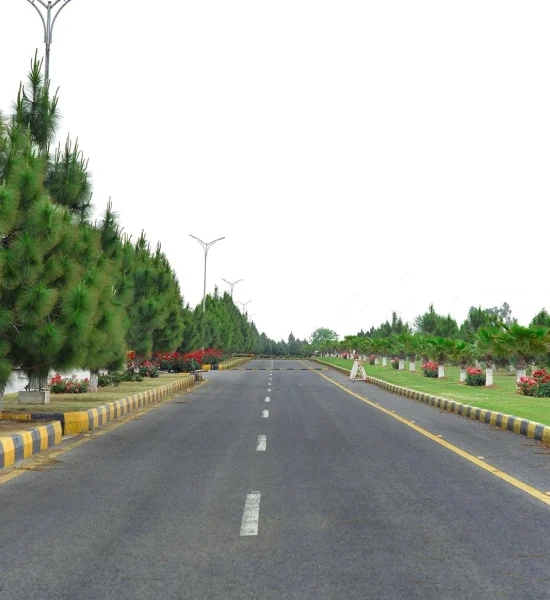 UpCountry Enclosure_2